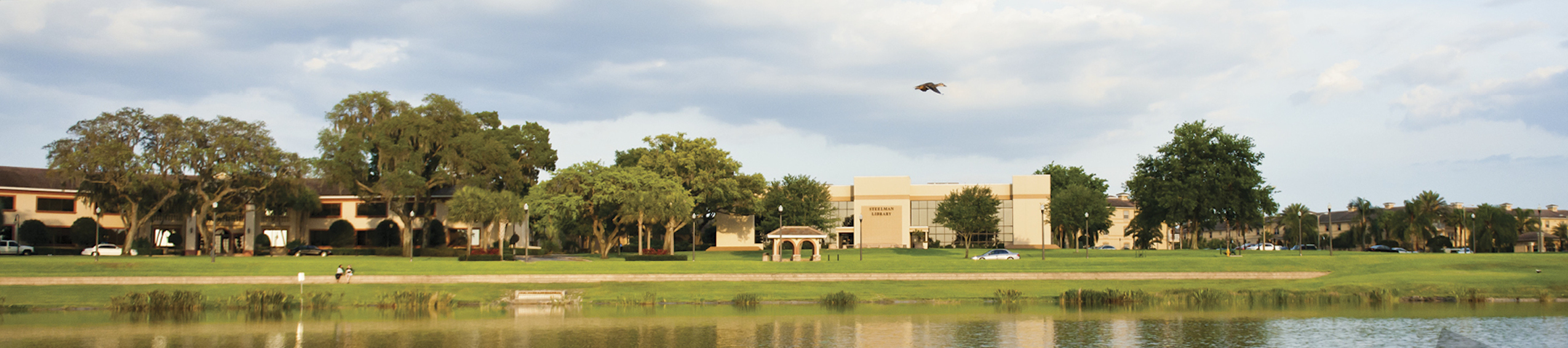 Steelman Library